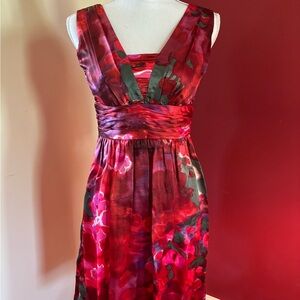 Banana Republic Floral Print Dress